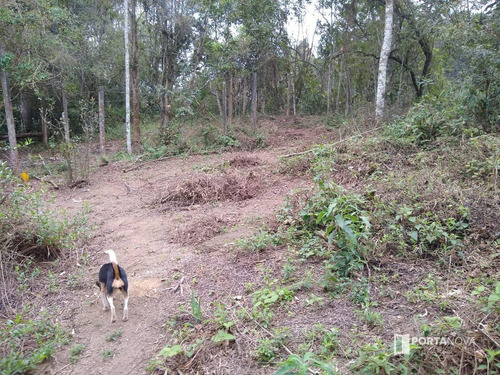 Área À Venda, 11000 M² Por R$ 1.320.000,00 - Chácaras Bartira - Embu Das Artes/sp - Ar0053