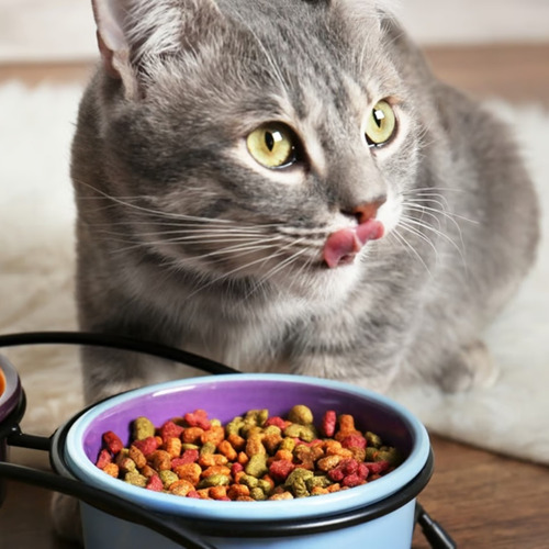 Alimento Para Gato Purina One® Esterilizado Pollo Salmon 6kg