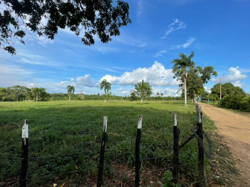 Finca Ganadera Y Agricola En Bayaguana 855t Areas Con Piscina Y Casa 1km Y Medio De La Via Principal