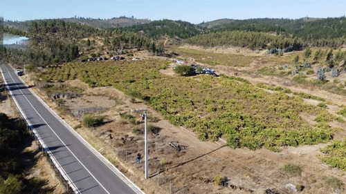 Parcelación A Orilla De Pavimento En Paredones 5000m2 Oferta