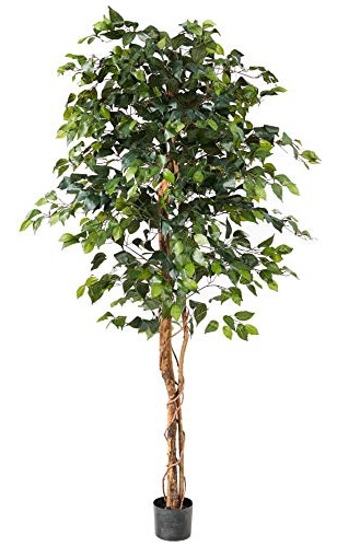 Ficus Artificial 6ft. Green Tree