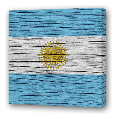 Cuadro 30x30cm Bandera Argentina Patria Nacion Celeste P1