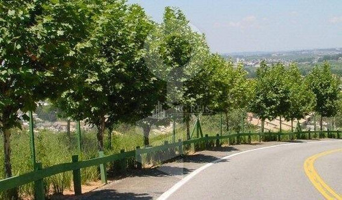Imagem 3 de 20 de Casa Com 6 Suítes À Venda, 700m² Por R$ 4.500.000 - Alphaville 8 - Santana De Parnaíba/sp - Ca1277