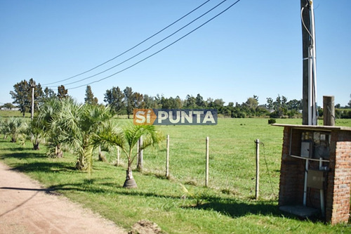 Imagen 12 de 19 de Chacra San Carlos Ruta 9