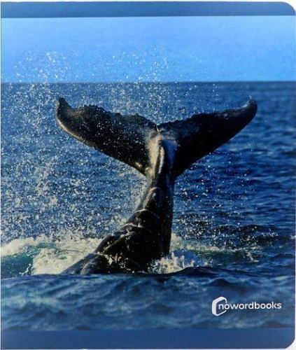 Libro: Animales Del Mar. Vv.aa.. Nowordbooks Scp