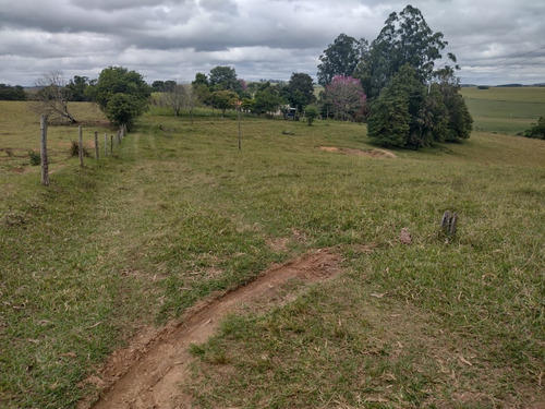 Imagem 2 de 30 de Chácara 4,5 Alqueires Casa Simples E Boa,poço Caipira Agua Cristalina,corrego No Fundo,fácil Acesso 800mts Do Asfalto,ótimo Pasto,27 Kms Itapetininga - Ch00081 - 69505662