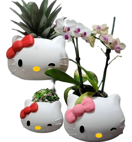 Maceta Personalizada Hello Kitty Sanrio