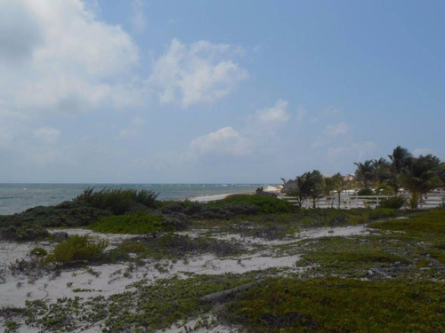 Imagen 5 de 16 de Oportunidad!! Terreno Frente Al Mar Mahahual-rio Indio P2699