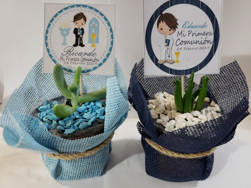 Imagen 4 de 10 de Recuerdos 35 Plantas Suculentas Decoradas Todo Evento