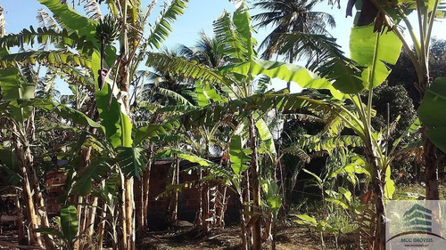 Imagem 13 de 21 de Granja A Venda Em Mangabeira, Macaíba
