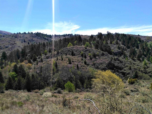 Imagen 12 de 22 de Venta! Lote 3524m2 Con Costa De Rio! La Cumbrecita, Peñon Del Aguila!
