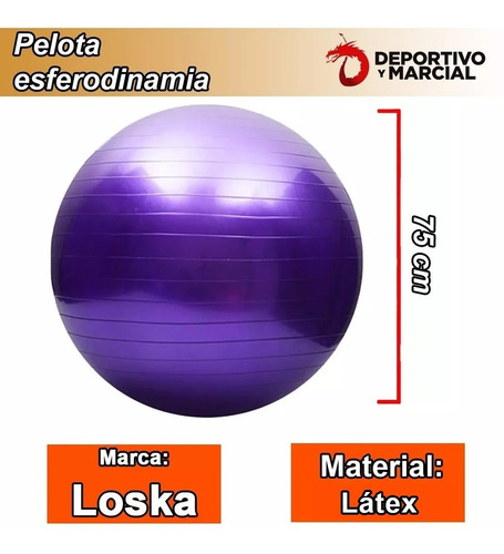 Pelota Esferodinamia 75 Cm Reforzada Fitball Gym En3x