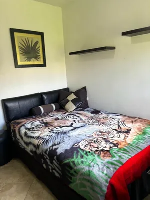 Habitación en alquiler