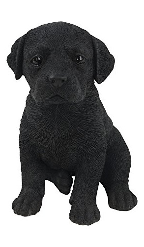 Estatua De Cachorro Labrador De Hi-line Gift Ltd, Color Negr