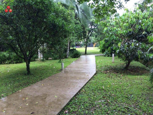 Imagem 7 de 25 de Chácara À Venda, 8500000 M² Por R$ 2.960.000,00 - Colônia Marques - Morretes/pr - Ch0052