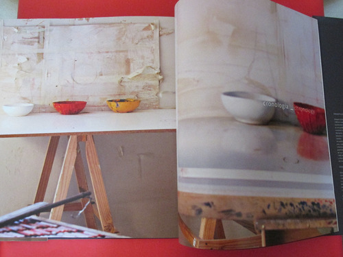 Imponente Libro Pintor Chileno Ricardo Maffei 2010 Mu Escaso (Usado)