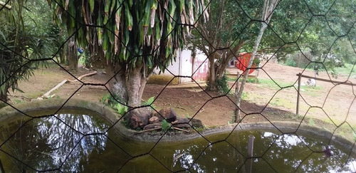 Imagem 6 de 15 de Chácara Em Recanto Campo Belo - São Paulo - Ref 2637