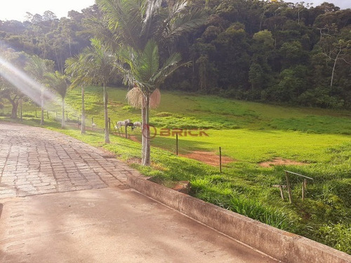 Imagem 27 de 27 de Terreno Em Condomínio Com 2.000 M², Em Bonsucesso. - Te00397 - 69360138