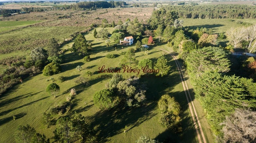 Imagen 20 de 22 de Venta Chacra En San Carlos 2 Has , Abra De Perdomo, Los Ceibos