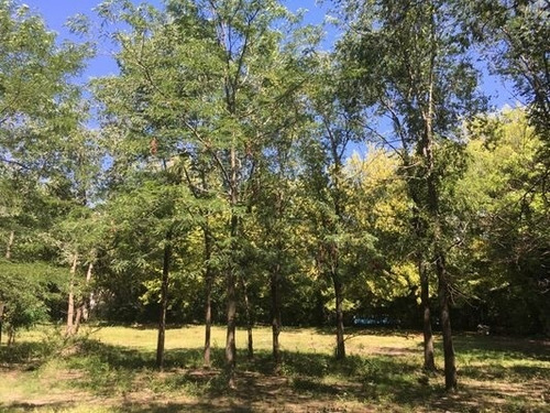 Imagen 6 de 14 de Vendemos Estratégico Terreno En El Trapiche - San Luis