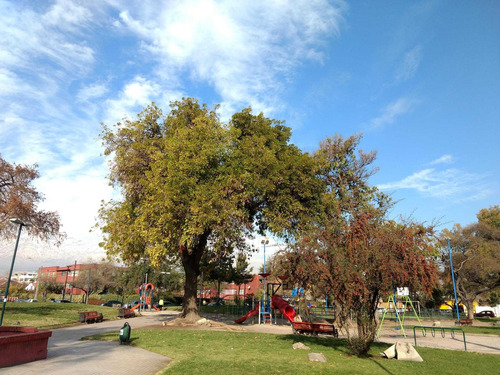 Plaza Zañartu / Ñuñoa (84224)