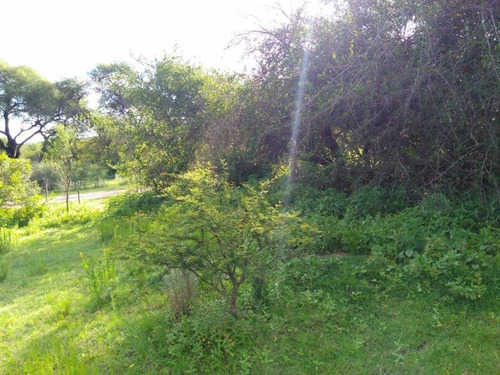 Terrenos O Lotes Venta San Lorenzo