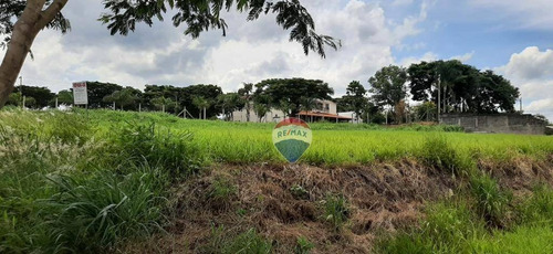 Imagem 4 de 8 de Terreno Comercial, 2000 M², Venda, Holambra, Sp - Te0651