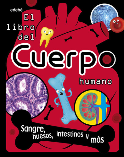 El Libro Del Cuerpo Humano: Sangre, Huesos, Intestinos Y Más, De Bipasha Choudhury., Vol. 1. Editorial Edebe, Tapa Dura En Español