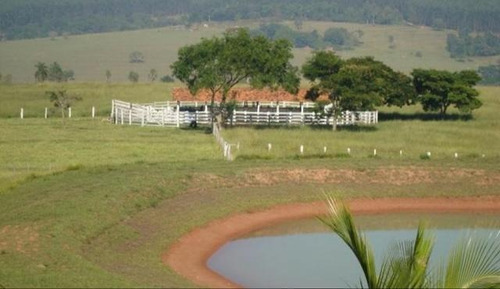 Imagem 10 de 14 de Fazenda Para Venda Em Bofete, Rural - Faz 098_1-2107800