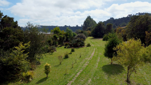 Campo En Maullín Río Astillero Región De Los Lagos