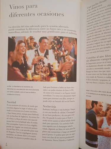 Guía Del Vino Un Viaje Práctico Por Su Apasionante Mundo (Usado)