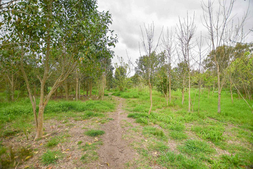 Imagen 12 de 15 de Terreno En Venta La Plata