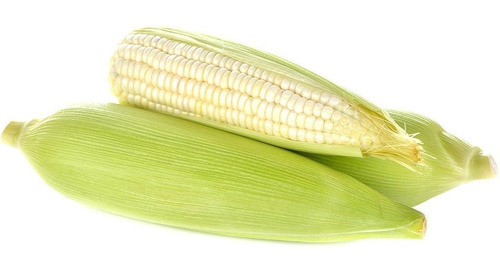 Maiz H-377 1kg Semilla Elotero Cuatero Y De Grano Hibrido