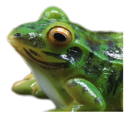 Estatua De Paisaje De Rana Sapo Sapos Anfibios Ranas