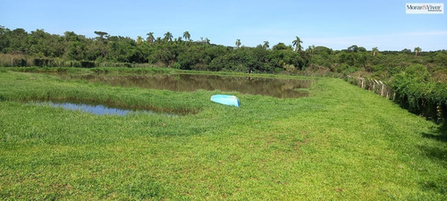 Imagem 1 de 15 de Chácara Para Venda Em São José Dos Pinhais, Agaraú - Cha2202_1-2421184