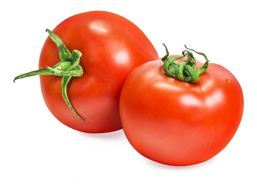 Semillas De Tomate Redondo Para Huerta Cultivo Hortícola