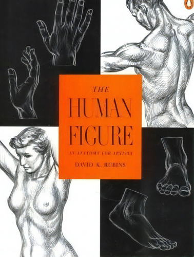 Rubins David K. : Human Figure, De David K Rubins. Editorial Penguin Books Ltd, Tapa Blanda En Inglés