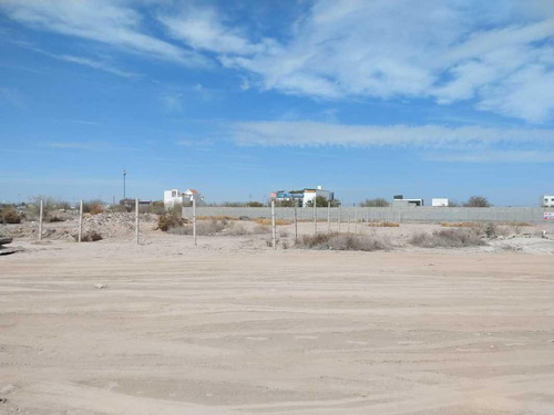 Terreno En Venta En Poblado Conchita Roja Torreòn, Coahuila