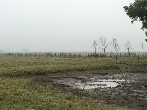 Imagen 15 de 21 de 390 Has. Campo Ganadero A Tranquera Cerrada
