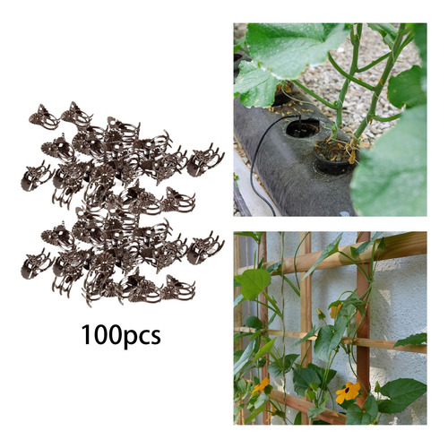 100 Piezas Clips De Soporte Para Plantas Abrazadera De