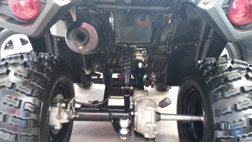 Imagen 14 de 15 de Kawasaki Brute Force 300