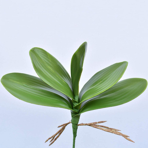 Cnn 10 Unidades Hojas Artificiales Orquídea Phalaenopsis