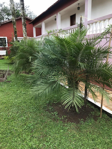 Sítio Na Beira Br116 Em Juquitiba