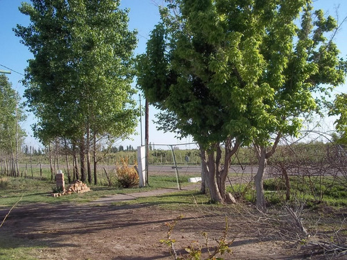 Casa Campo  En Venta Ubicado En San Rafael, Mendoza, Argentina