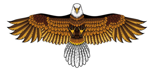 Eagle Kite - Cometa Para Ninos Y Adultos Con Envergadura De