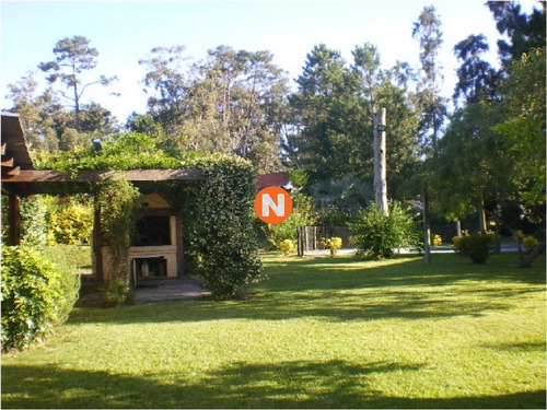 Casa En Venta, Bo. Cordoba, Maldonado, 3 Dormitorios.- Ref: 207909