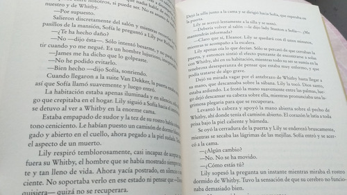 Los Amores De Lily De J. Mac Lean (2006) Martínez (Usado)