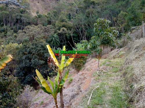 Imagem 8 de 15 de Chácara Em São Francisco Xavier Com Vista Encantadora - 2111