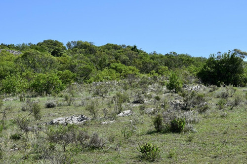 Imagen 5 de 8 de Venta Chacra 13 Has Sierras Minas Ruta 60 Arroyo