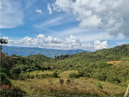 Lote En Vender En Barbosa